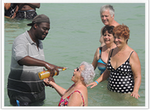d�couverte de la mangrove en Martinique
